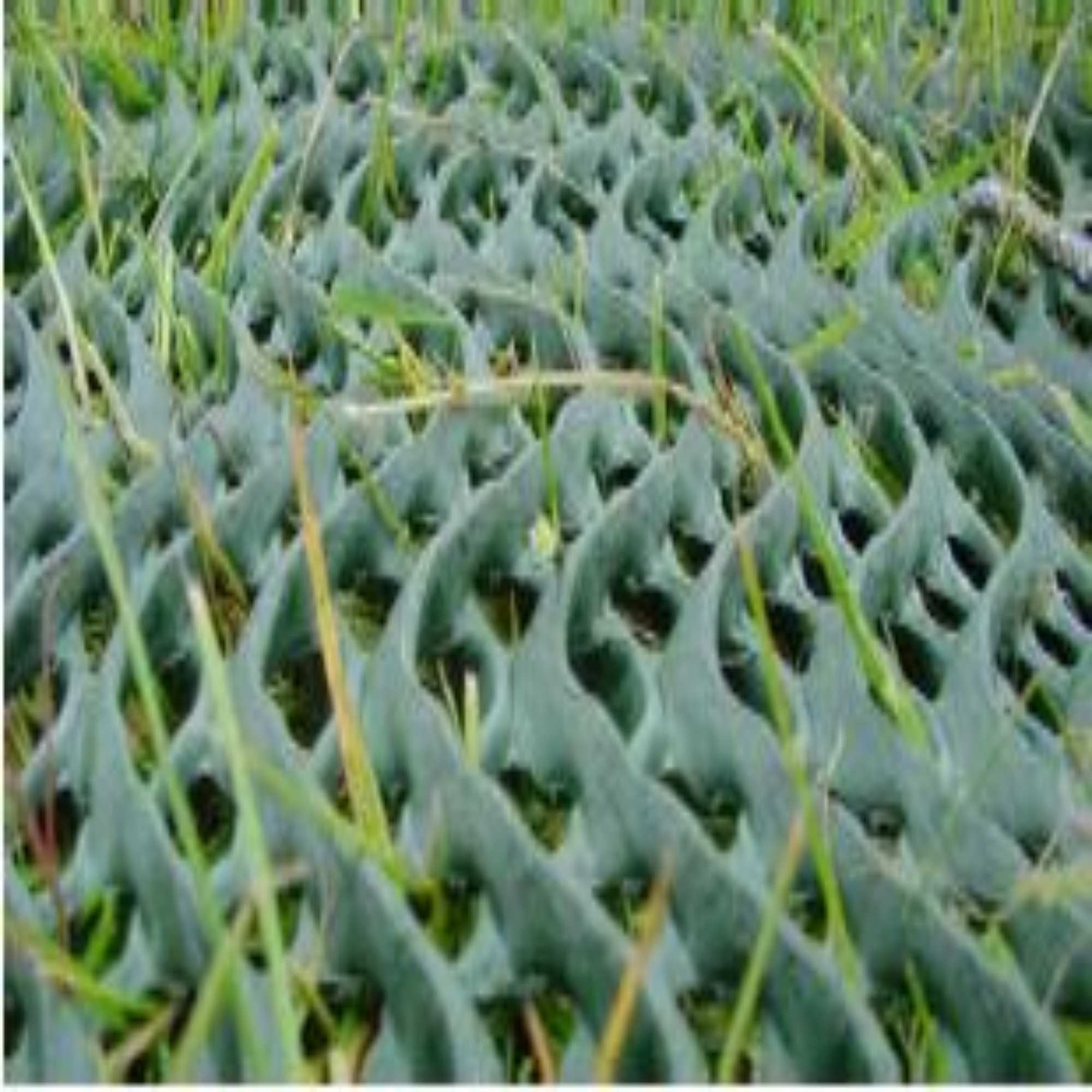 Grass & Turf Reinforcement Mesh