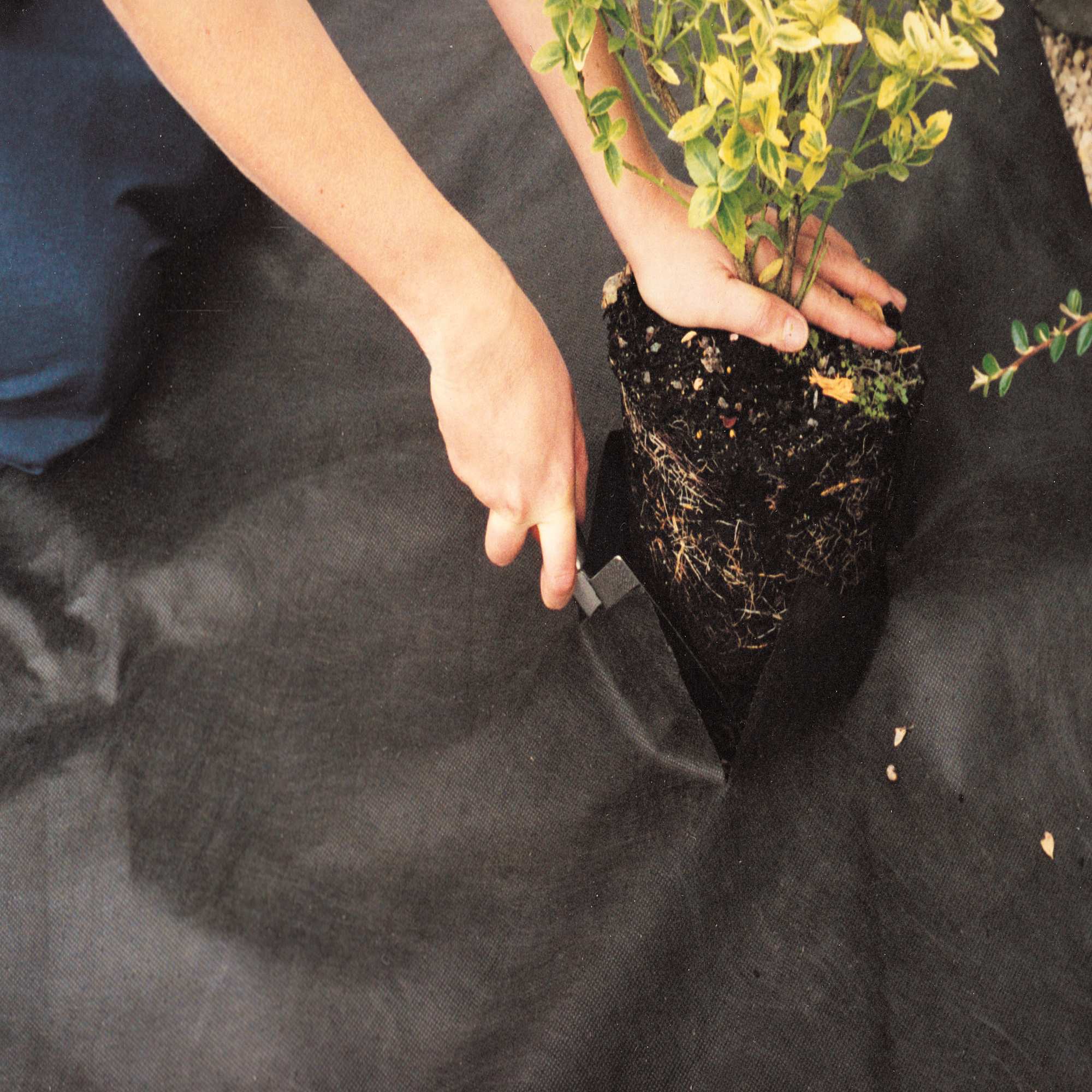 Weed Control Fabric Groundcover 50gsm Weed Control Fabric Flexible